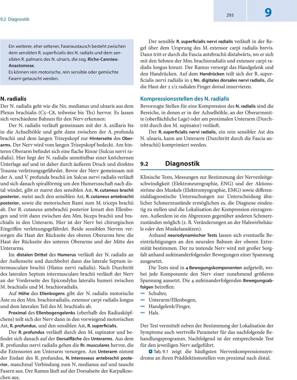 medianus und ulnaris aus dem Plexus brachialis (C C, teilweise bis Th) hervor. Es lassen sich verschiedene Bahnen für den Nerv erkennen: Der N. radialis verläuft gemeinsam mit der A.