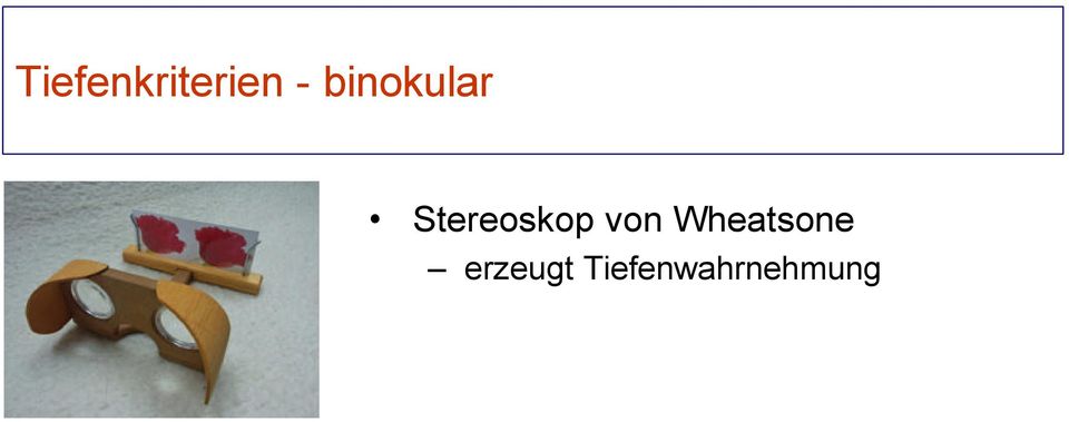 Stereoskop von