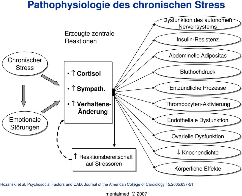 Prozesse Thrombozyten-Aktivierung Endotheliale Dysfunktion Ovarielle Dysfunktion Reaktionsbereitschaft auf Stressoren