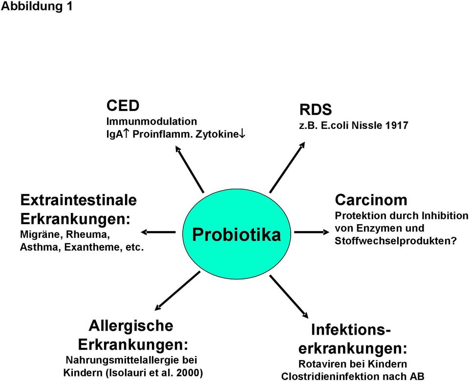 Probiotika Carcinom Protektion durch Inhibition von Enzymen und Stoffwechselprodukten?
