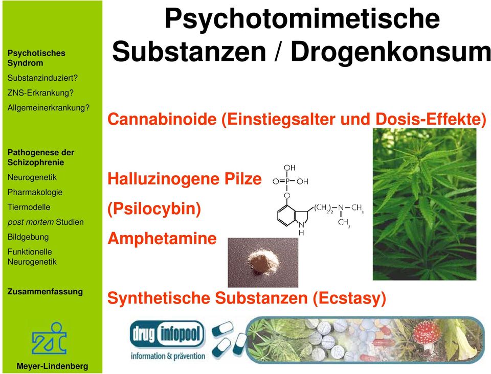 Schizophrenie Pharmakologie Tiermodelle post mortem Studien Bildgebung Funktionelle