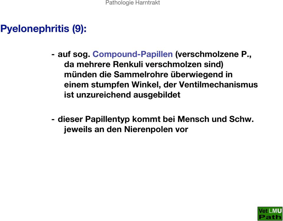 überwiegend in einem stumpfen Winkel, der Ventilmechanismus ist