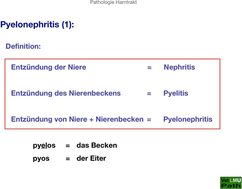 Pyelitis Entzündung von Niere + Nierenbecken =