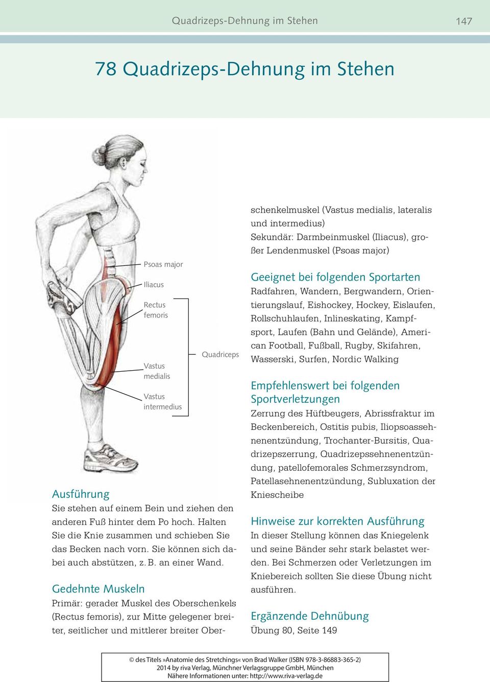 Gedehnte Muskeln Primär: gerader Muskel des Oberschenkels (Rectus femoris), zur Mitte gelegener breiter, seitlicher und mittlerer breiter Oberschenkelmuskel (Vastus medialis, lateralis und