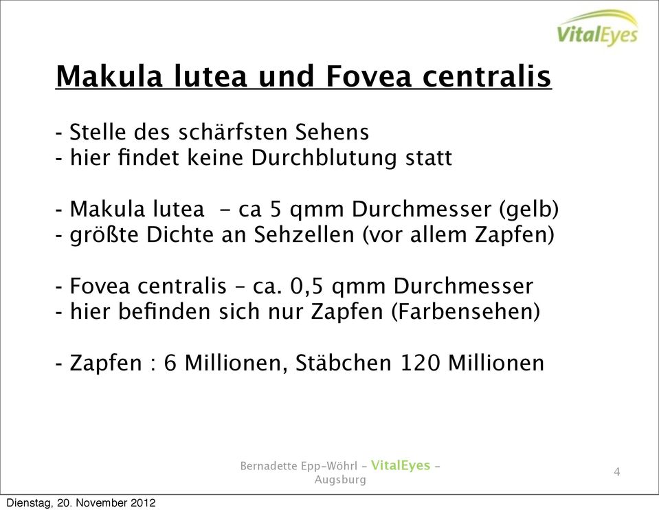 Dichte an Sehzellen (vor allem Zapfen) - Fovea centralis ca.