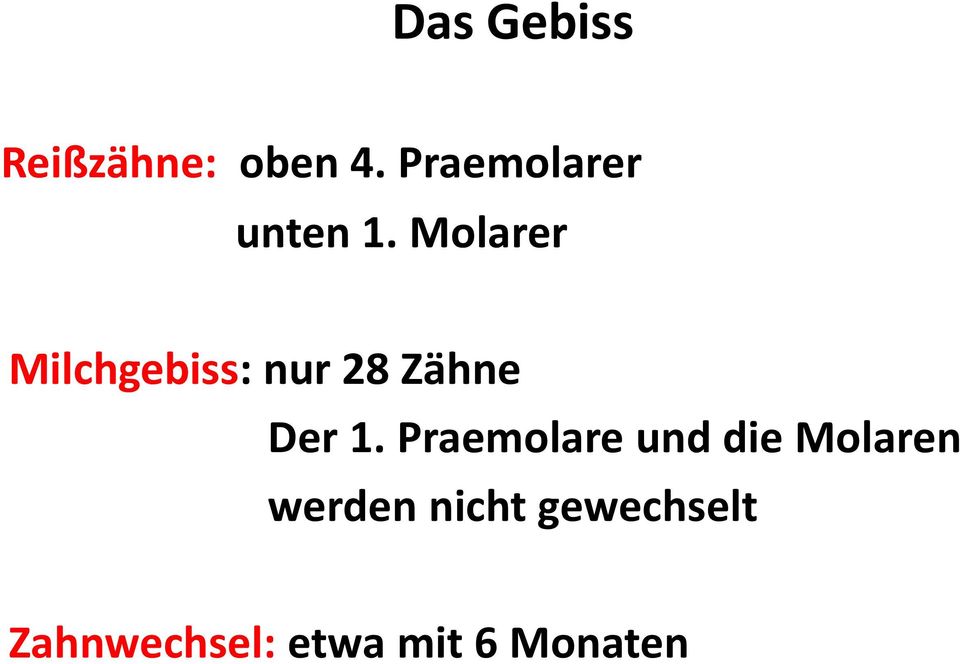 Molarer Milchgebiss: nur 28 Zähne Der 1.