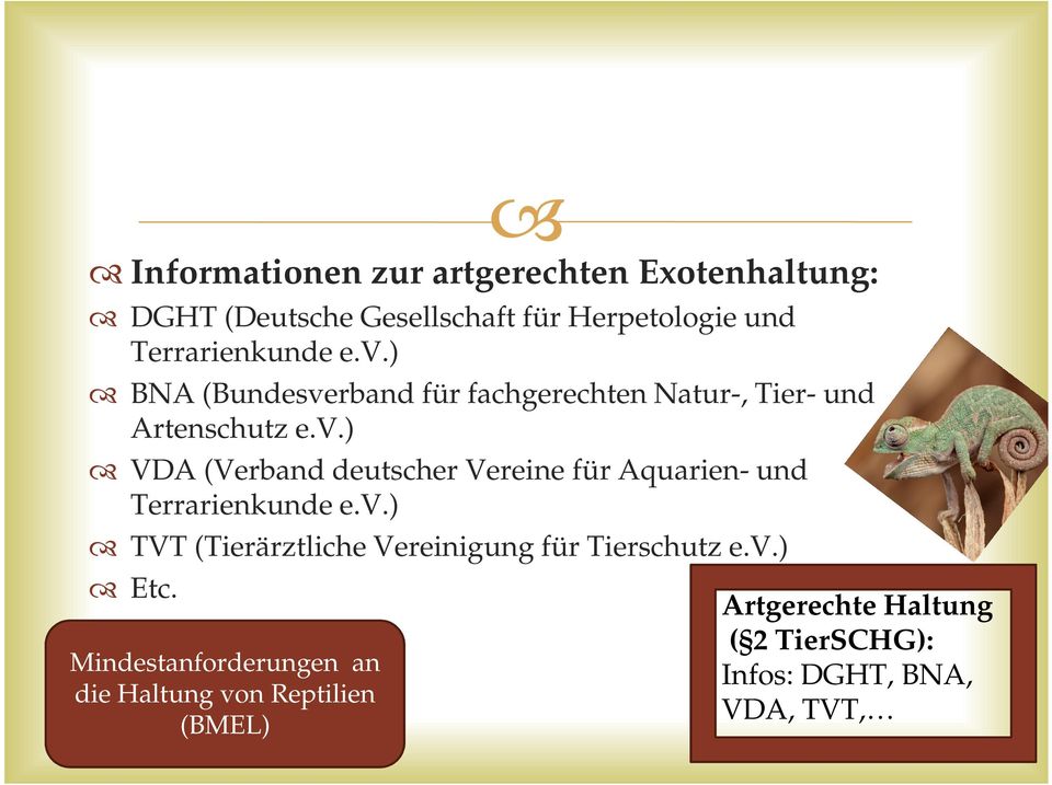 v.) TVT (Tierärztliche Vereinigung für Tierschutz e.v.) Etc.