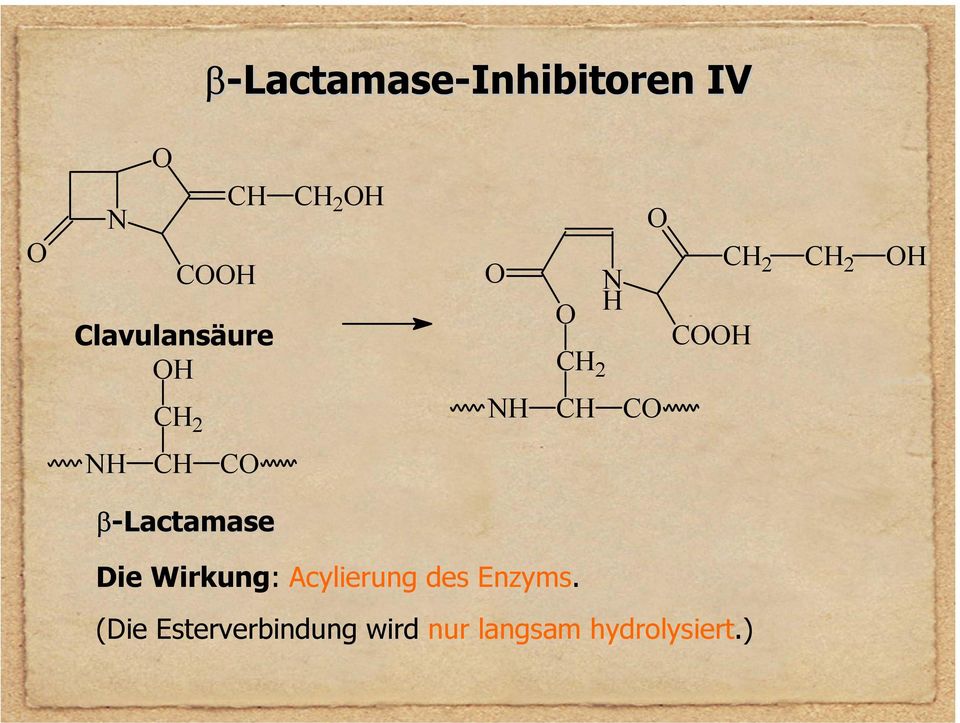 β-lactamase Die Wirkung: Acylierung des