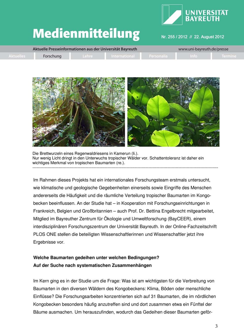Forschungsteam erstmals untersucht, wie klimatische und geologische Gegebenheiten einerseits sowie Eingriffe des Menschen andererseits die Häufigkeit und die räumliche Verteilung tropischer Baumarten