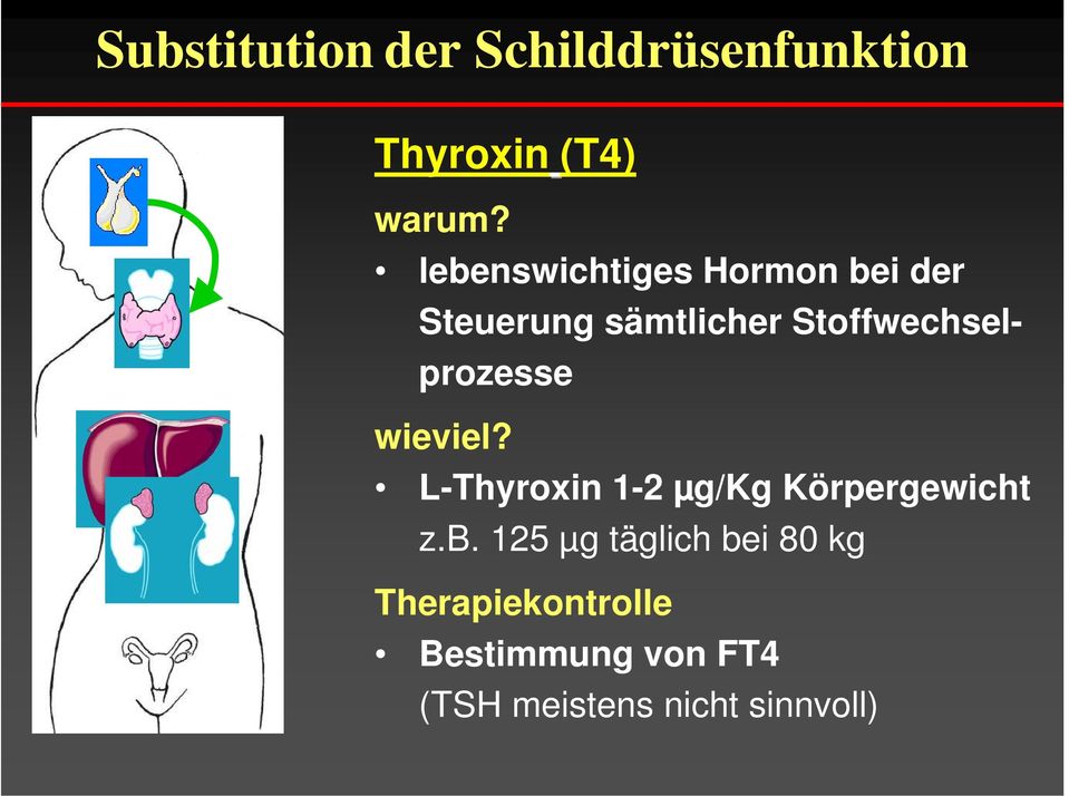 Stoffwechselprozesse wieviel? L-Thyroxin 1-2 µg/kg Körpergewicht z.