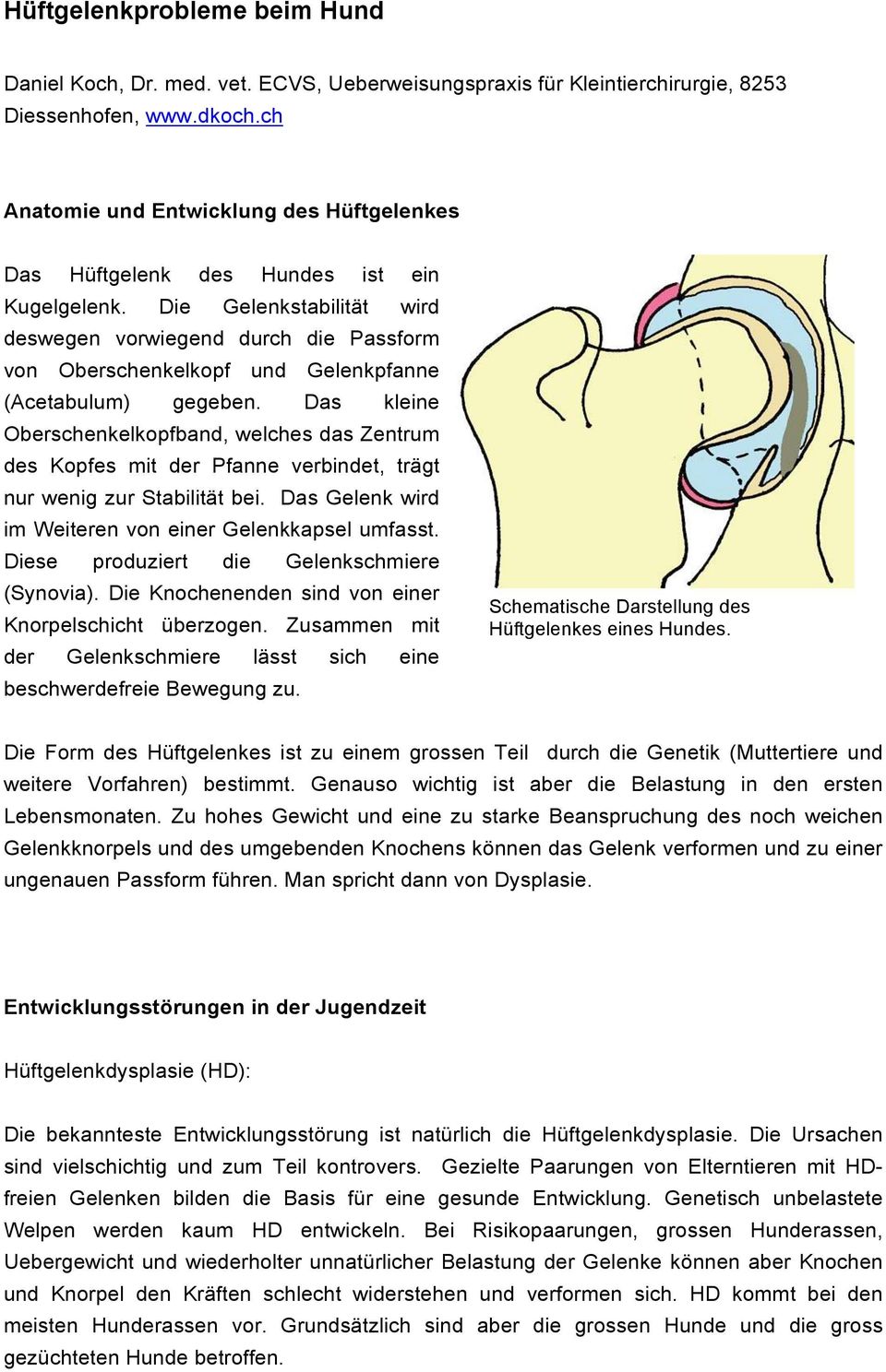 Die Gelenkstabilität wird deswegen vorwiegend durch die Passform von Oberschenkelkopf und Gelenkpfanne (Acetabulum) gegeben.