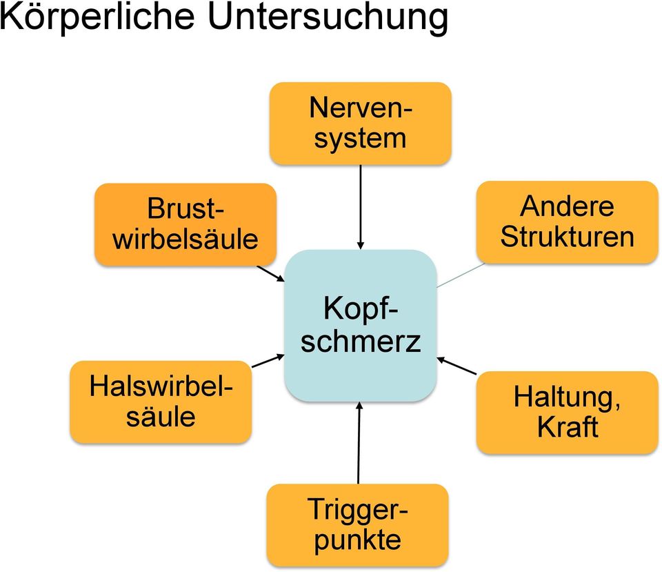 Kopfschmerz Nervensystem