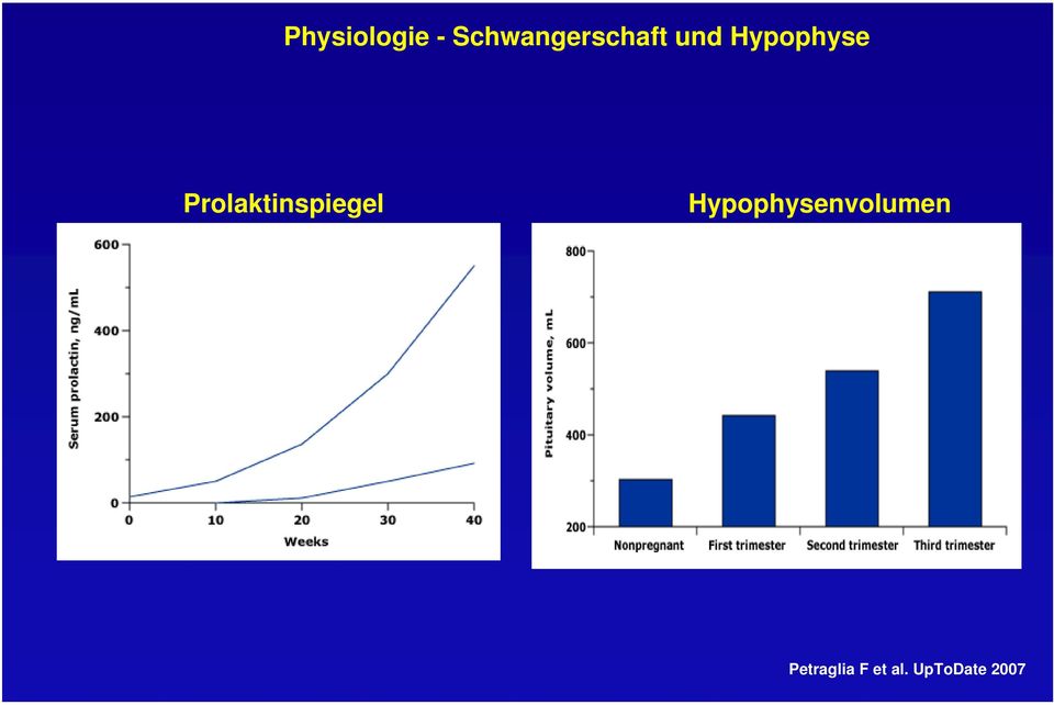 Hypophyse Prolaktinspiegel
