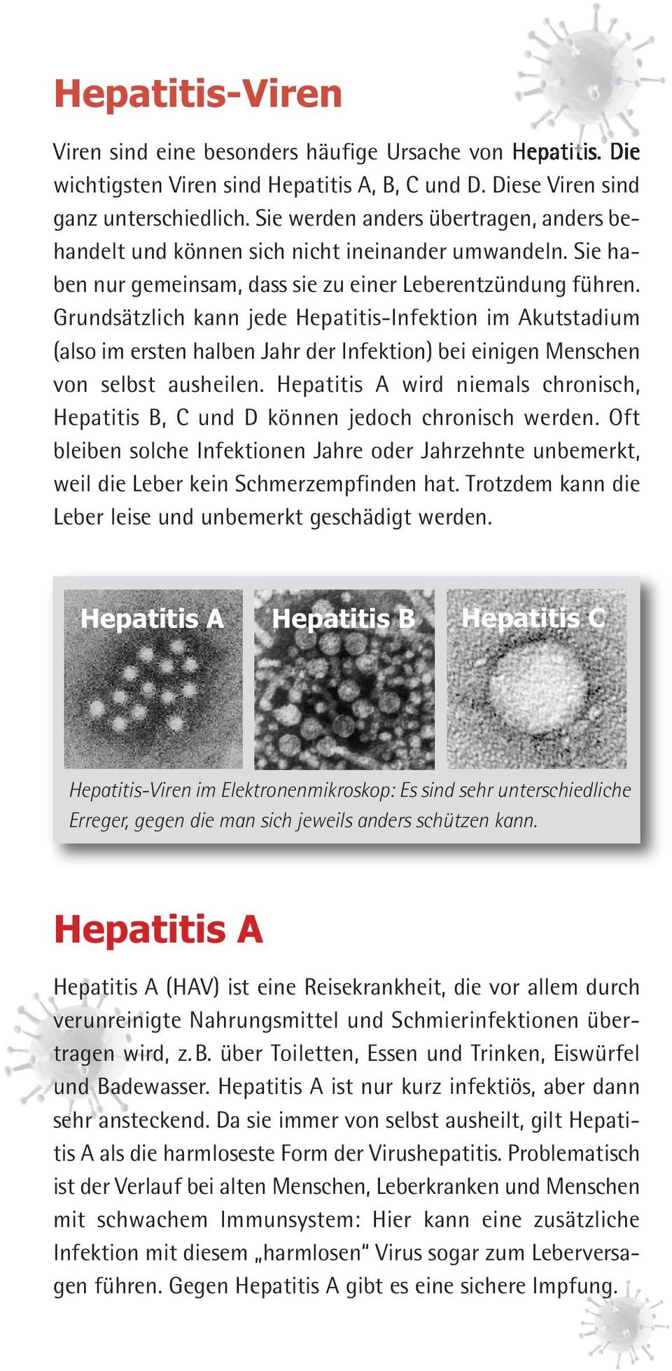 Grundsätzlich kann jede Hepatitis-Infektion im Akutstadium (also im ersten halben Jahr der Infektion) bei einigen Menschen von selbst ausheilen.