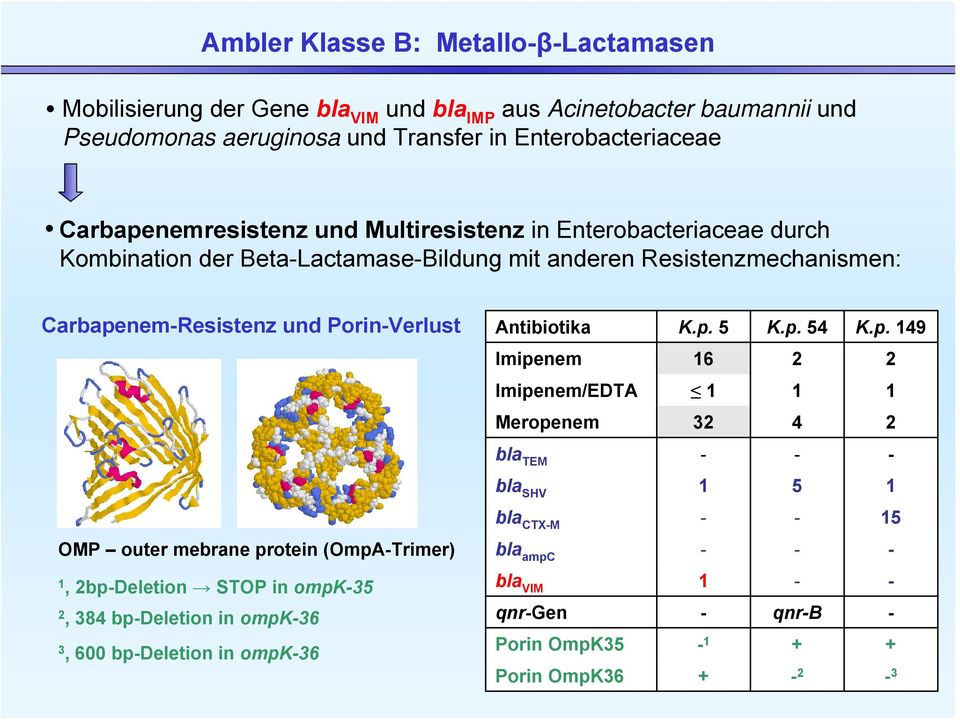 Porin-Verlust OMP outer mebrane protein (OmpA-Trimer) 1, 2bp-Deletion STOP in ompk-35 2, 384 bp-deletion in ompk-36 3, 600 bp-deletion in ompk-36 Antibiotika K.p. 5 K.p. 54 K.