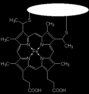 Biochemisch wichtige