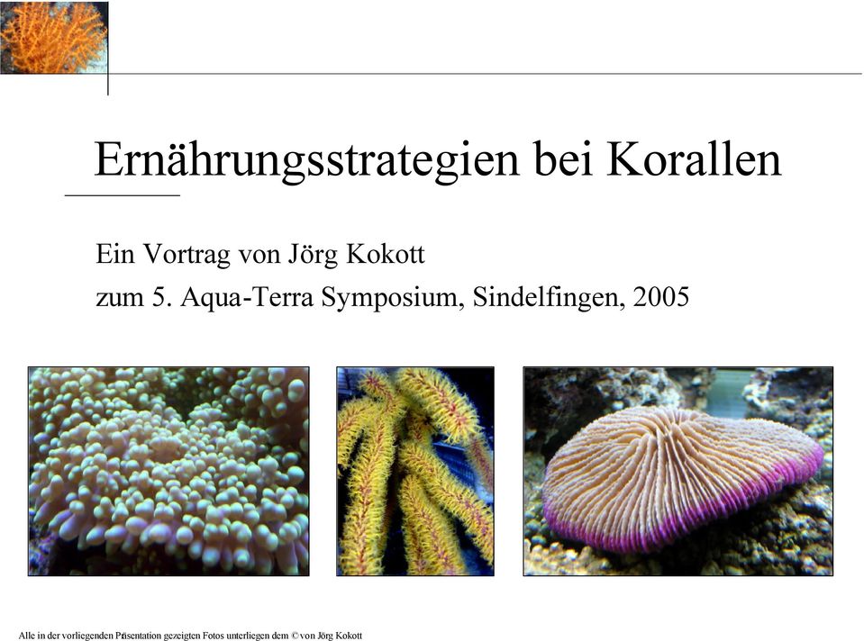 Aqua-Terra Symposium, Sindelfingen, 2005 Alle in