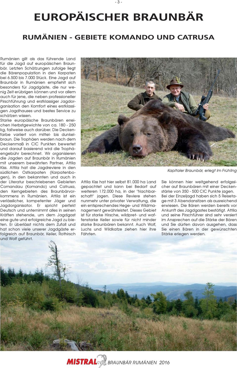 Eine Jagd auf Braunbär in Rumänien empfiehlt sich besonders für Jagdgäste, die nur wenig Zeit erübrigen können und vor allem auch für jene, die neben professioneller Pirschführung und erstklassiger