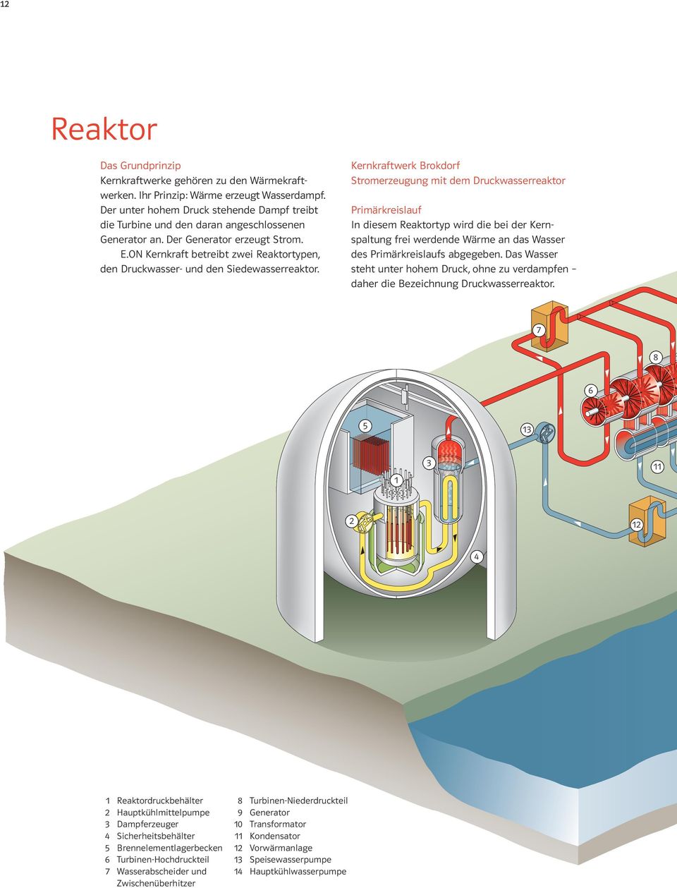 ON Kernkraft betreibt zwei Reaktortypen, den Druckwasser- und den Siedewasserreaktor.