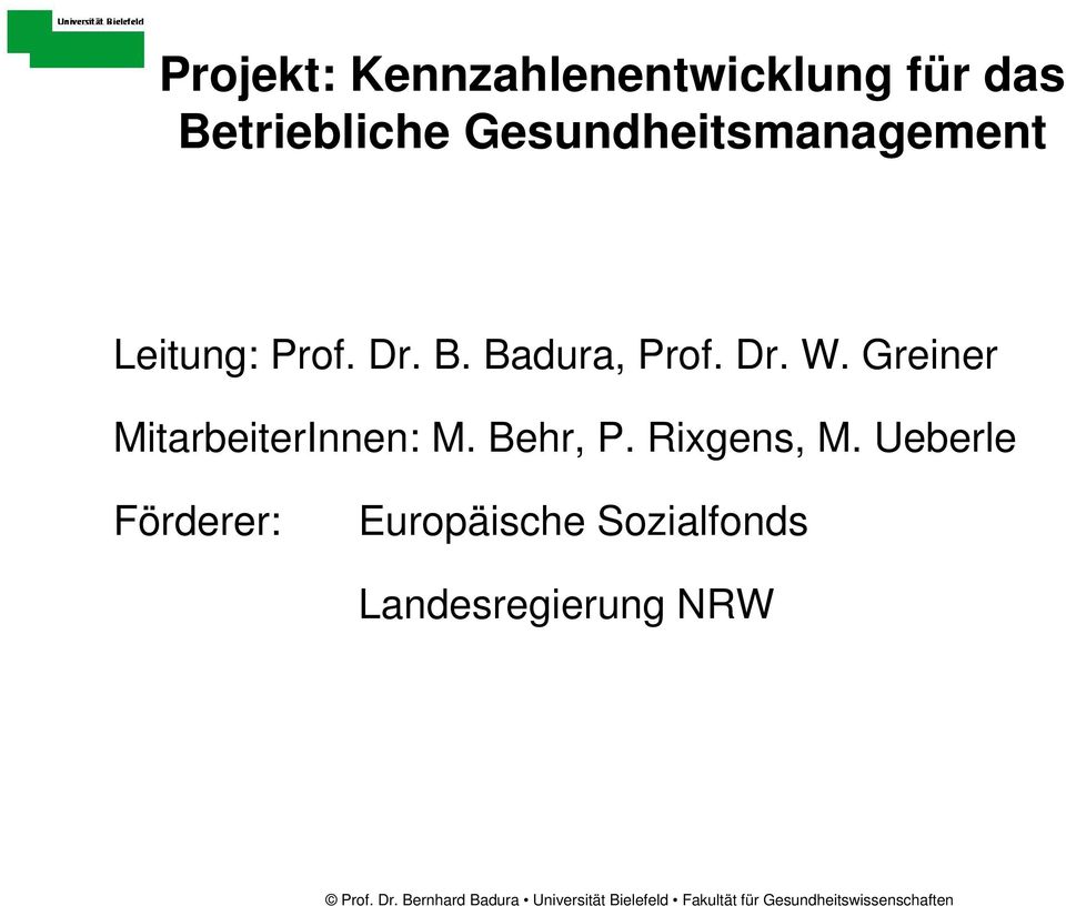Dr. W. Greiner MitarbeiterInnen: M. Behr, P. Rixgens, M.