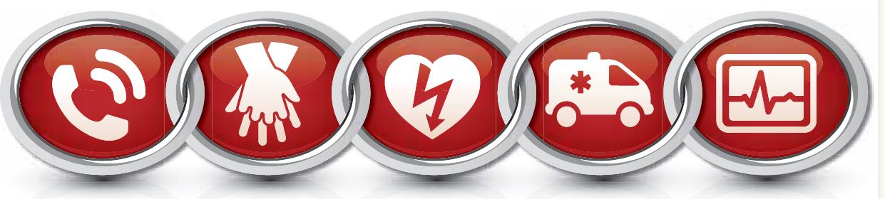 Die Überlebenskette 1. Erkennung des Herzstillstands und Alarmierung 2. Frühe BLS mit Schwerpunkt auf Herzdruckmassage 3.
