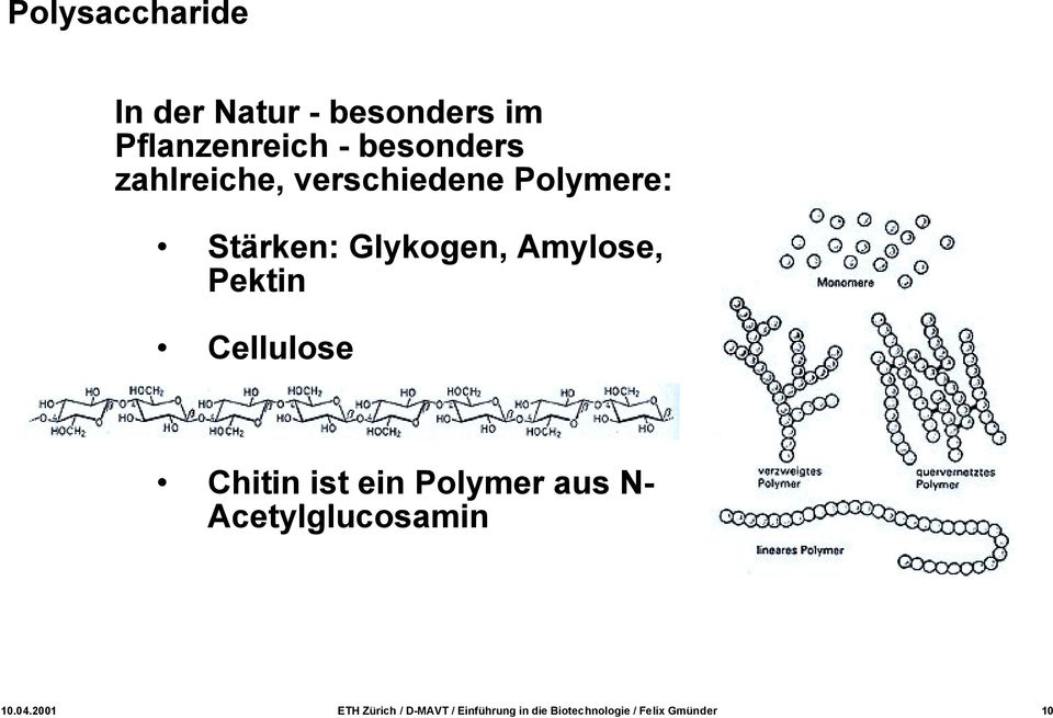 Cellulose Chitin ist ein Polymer aus N- Acetylglucosamin 10.04.