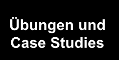 Festigen und anwenden der Theorie an konkreten Beispielen, Übungen und Case Studies Business Outlook Studierende