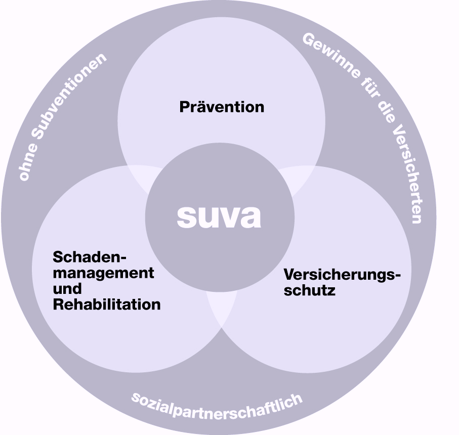Die Suva. Mehr als eine Versicherung. Seite 12 Effizienz in der Unfallversicherung. Kosten-Nutzen-Analyse.