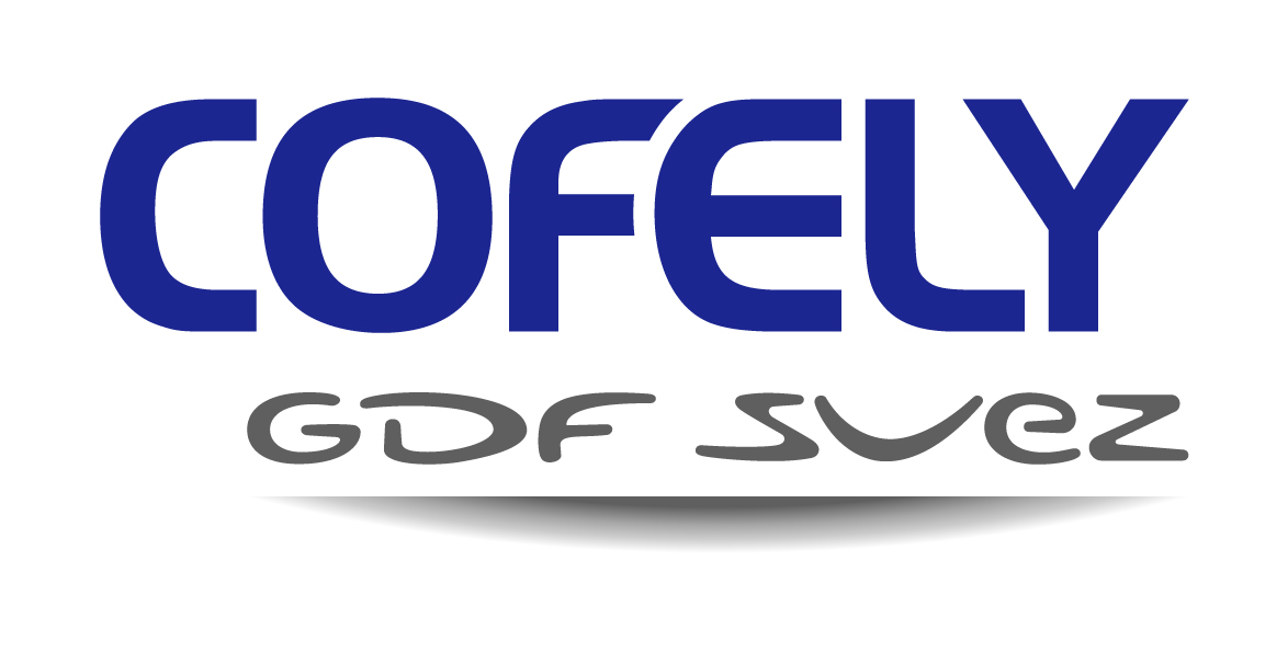 Stand 34 Cofely Deutschland GmbH COFELY ist Europas führende Marke für den effizienten Einsatz von Energien und kann sich als Teil der GDF-SUEZ-Gruppe auf die Stärke eines der größten