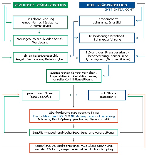 Schmerzaufmerksamkeit Laterales Schmerzsystem sensorisch-diskriminativ Somatosensorischer Cortex Thalamus