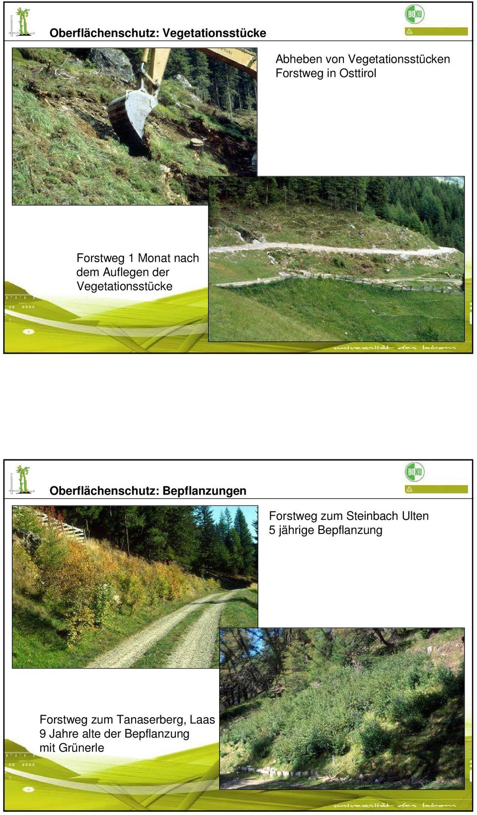 Vegetationsstücke Oberflächenschutz: Bepflanzungen Forstweg zum Steinbach