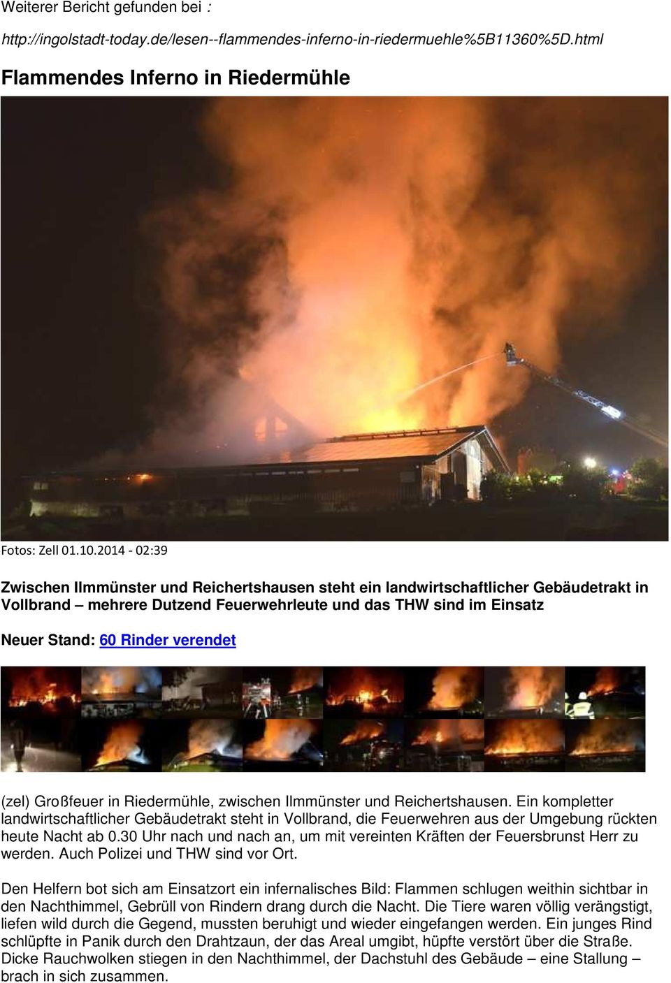 (zel) Großfeuer in Riedermühle, zwischen Ilmmünster und Reichertshausen. Ein kompletter landwirtschaftlicher Gebäudetrakt steht in Vollbrand, die Feuerwehren aus der Umgebung rückten heute Nacht ab 0.