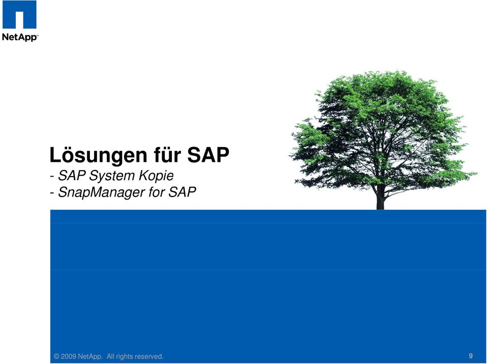 SnapManager for SAP