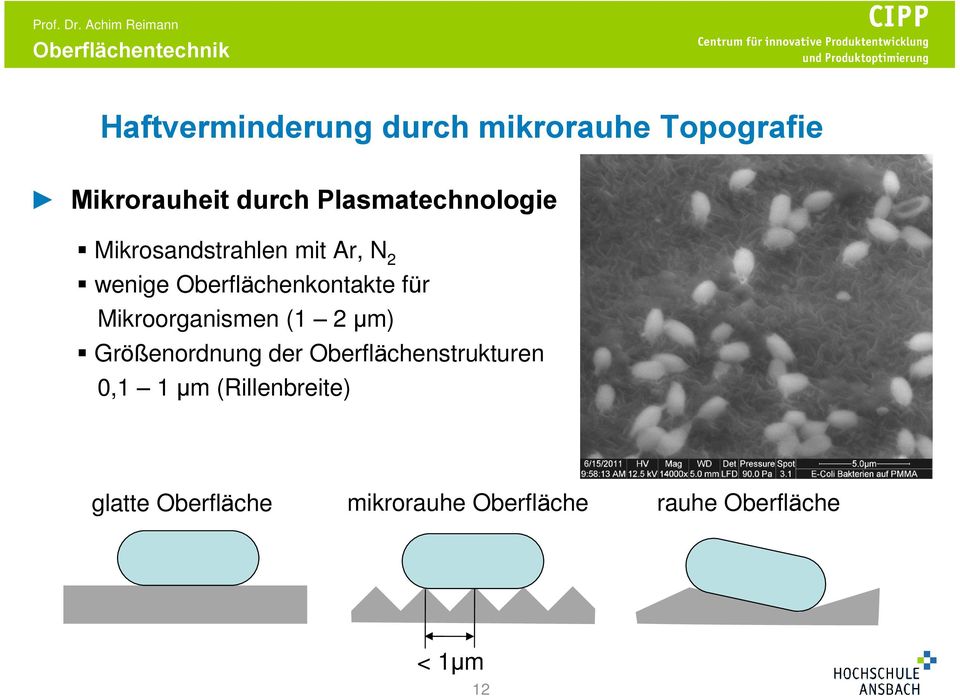 für Mikroorganismen (1 2 µm) Größenordnung der Oberflächenstrukturen 0,1 1