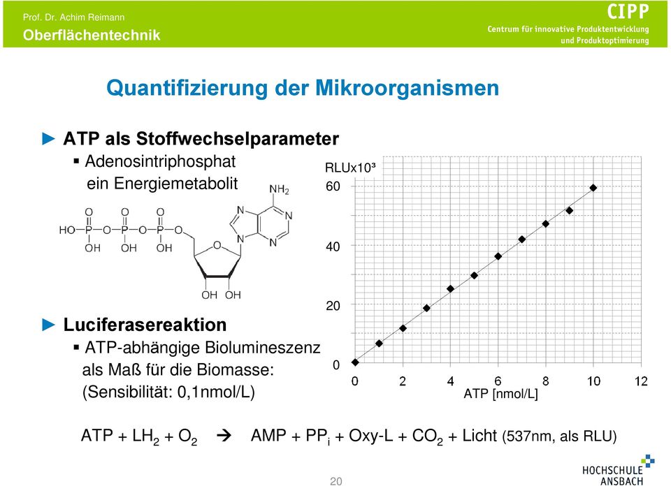 ATP-abhängige Biolumineszenz als Maß für die Biomasse: (Sensibilität: