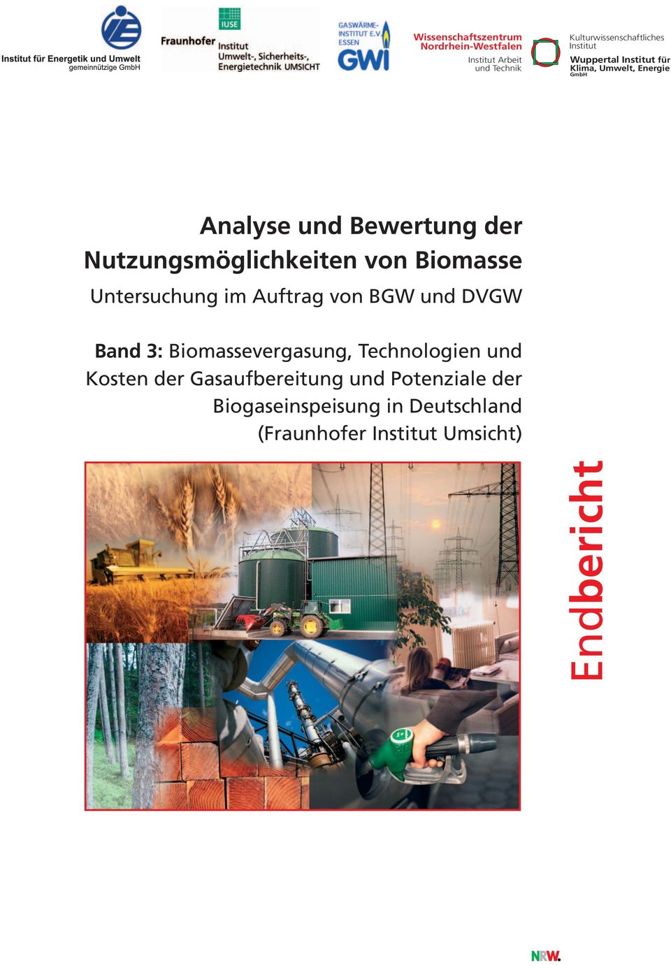 Biomasse Untersuchung im Auftrag von BGW und DVGW Band 3: Biomassevergasung, Technologien und Kosten der