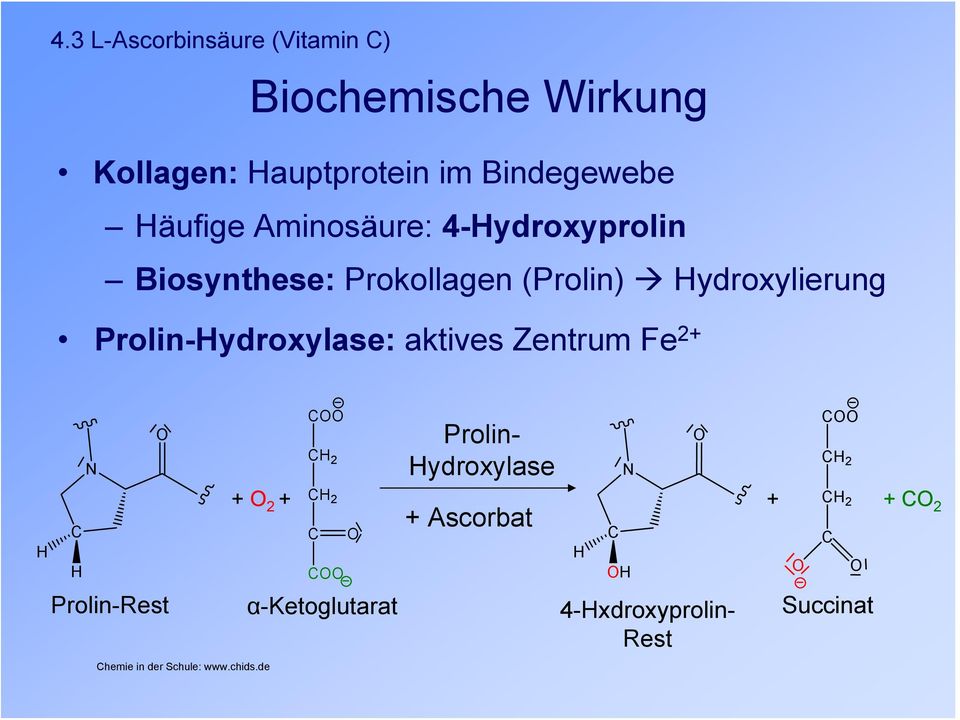 ydroxylierung Prolin-ydroxylase: aktives Zentrum Fe 2+ + 2 + 2 2 Prolin-Rest