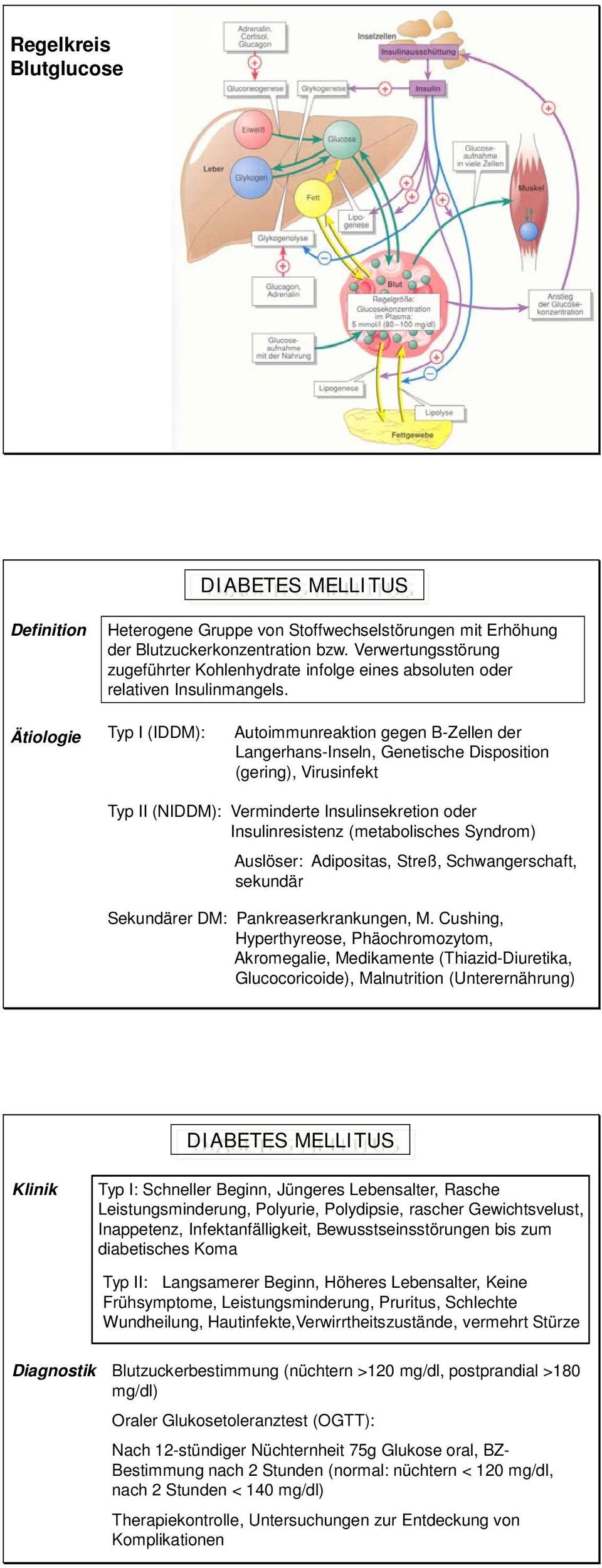 Typ I (IDDM): Autoimmunreaktion gegen B-Zellen der Langerhans-Inseln, Genetische Disposition (gering), Virusinfekt Typ II (NIDDM): Verminderte Insulinsekretion oder Insulinresistenz (metabolisches