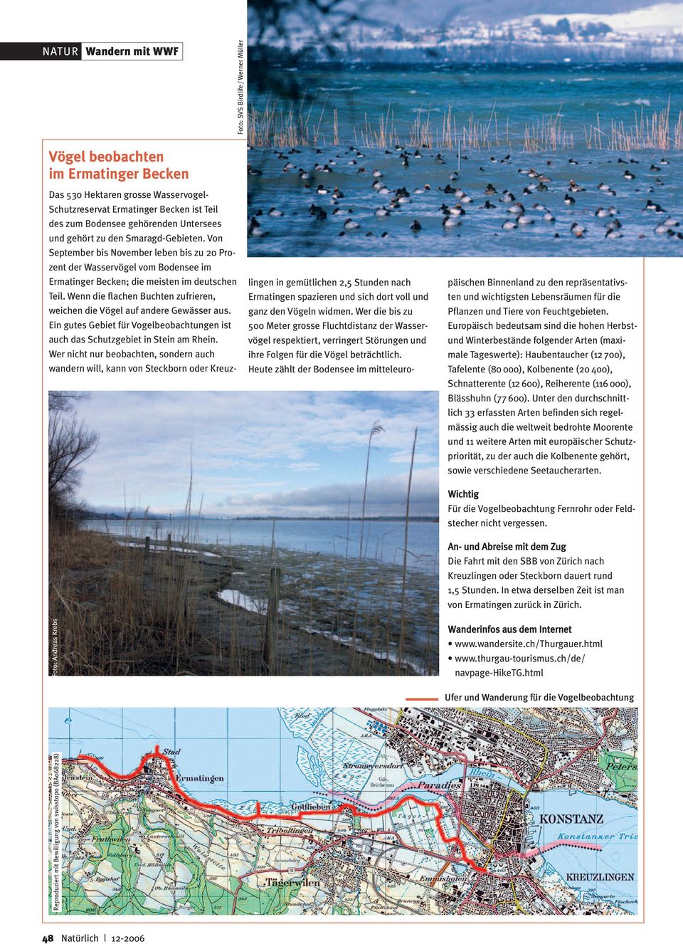 Wenn die flachen Buchten zufrieren, weichen die Vögel auf andere Gewässer aus. Ein gutes Gebiet für Vogelbeobachtungen ist auch das Schutzgebiet in Stein am Rhein.
