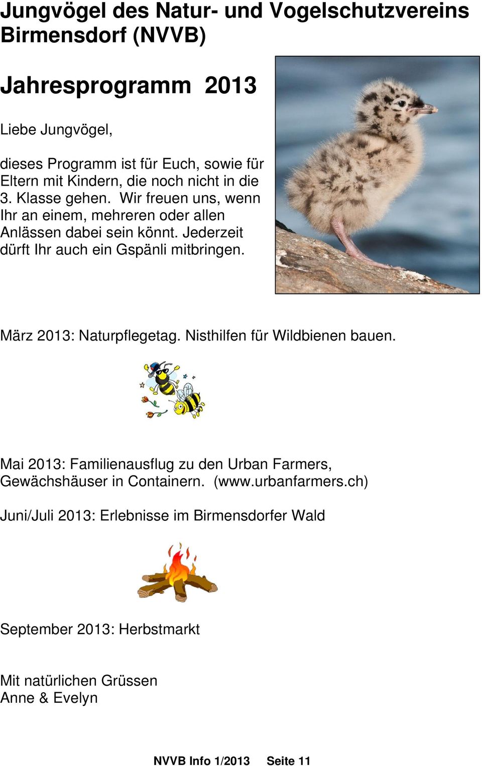 Jederzeit dürft Ihr auch ein Gspänli mitbringen. März 2013: Naturpflegetag. Nisthilfen für Wildbienen bauen.