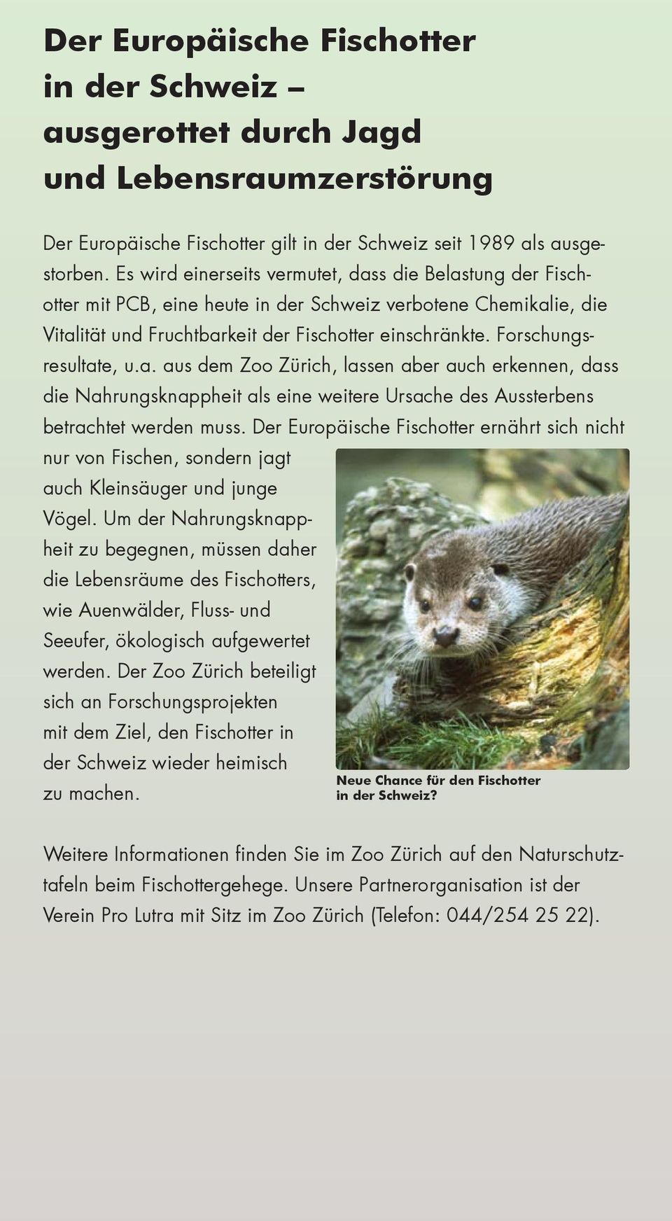 Forschungsresultate, u.a. aus dem Zoo Zürich, lassen aber auch erkennen, dass die Nahrungsknappheit als eine weitere Ursache des Aussterbens betrachtet werden muss.