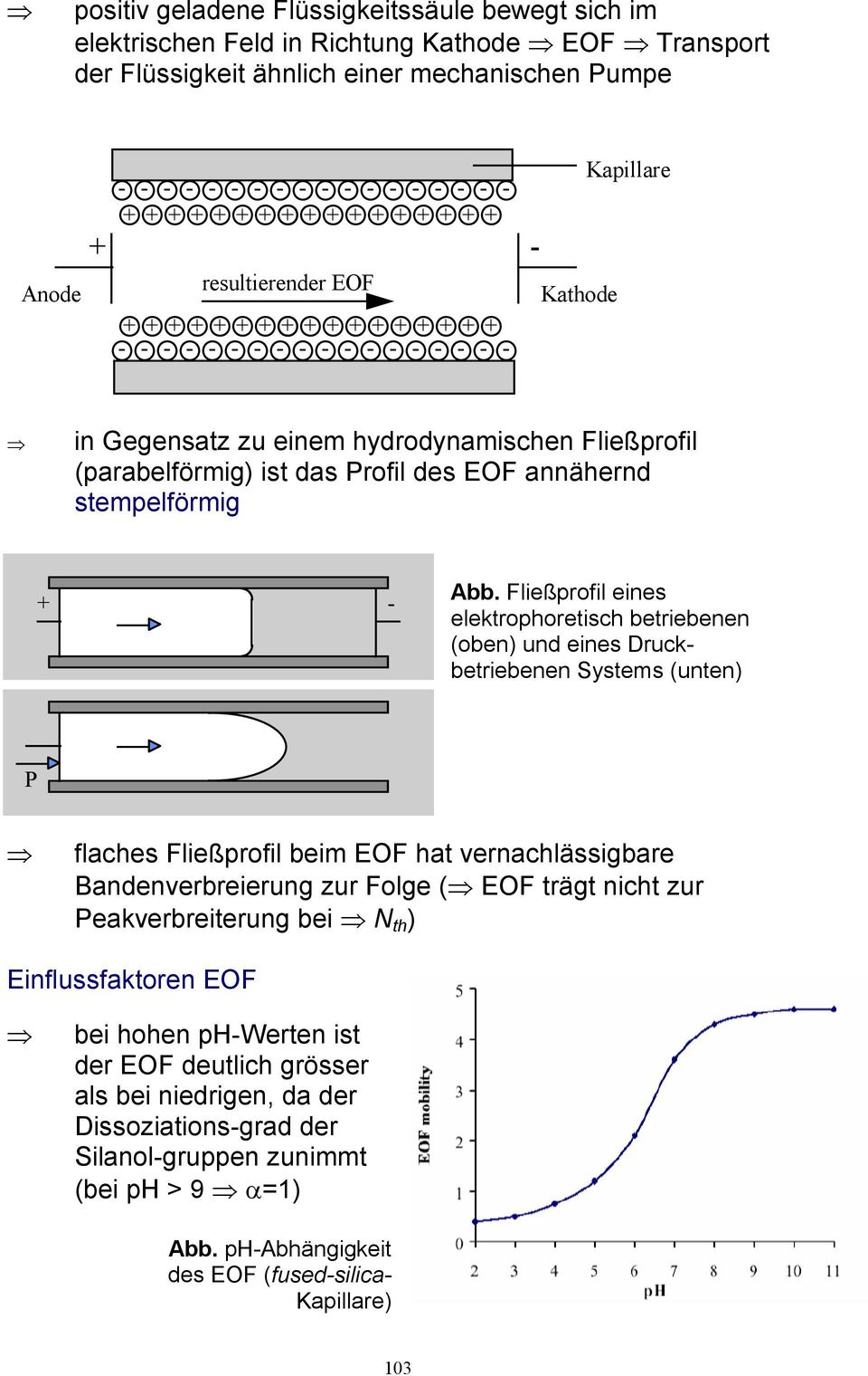 Fließprofil eines elektrophoretisch betriebenen (oben) und eines Druckbetriebenen Systems (unten) P flaches Fließprofil beim EF hat vernachlässigbare Bandenverbreierung zur Folge ( EF trägt nicht zur