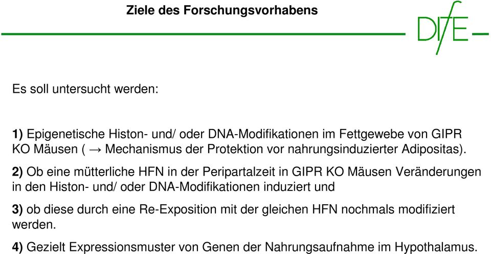 2) Ob eine mütterliche HFN in der Peripartalzeit in GIPR KO Mäusen Veränderungen in den Histon- und/ oder DNA-Modifikationen