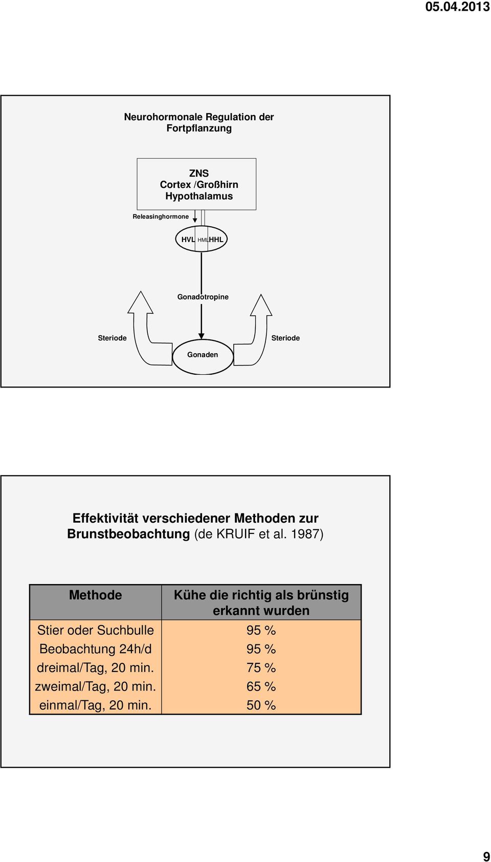 Brunstbeobachtung (de KRUIF et al.