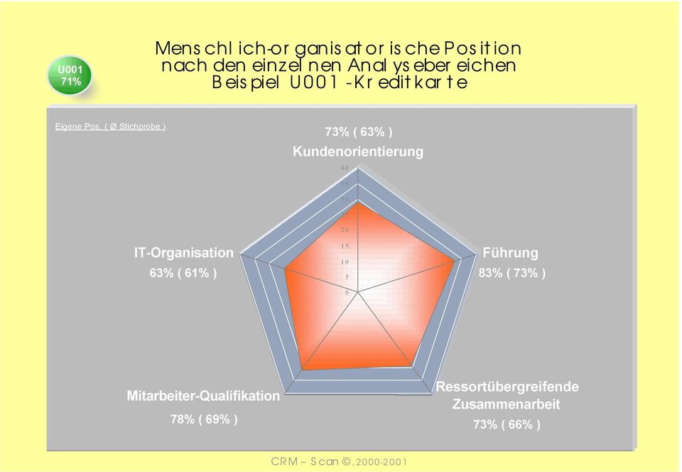 ( Ø Stichprobe ) 73% ( 63% ) Kundenorientierung 40 IT-Organisation 63% ( 61% ) 35