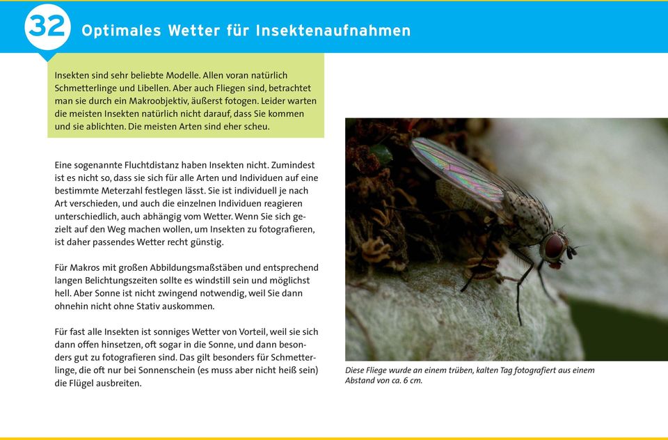 Die meisten Arten sind eher scheu. Eine sogenannte Fluchtdistanz haben Insekten nicht.