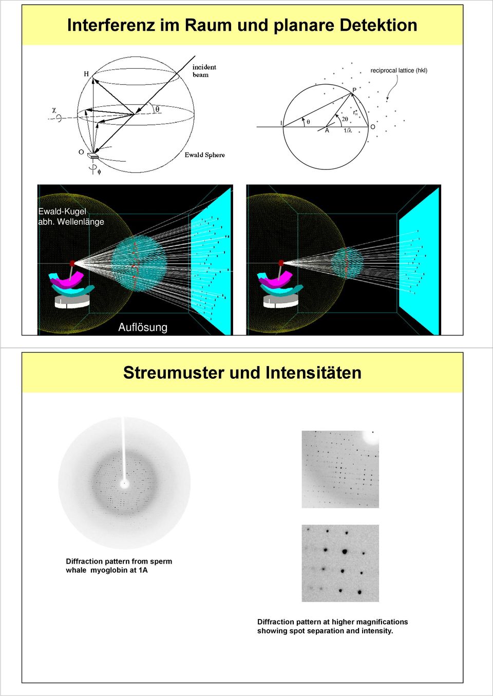 Streumuster und Intensitäten Diffraction pattern from sperm whale