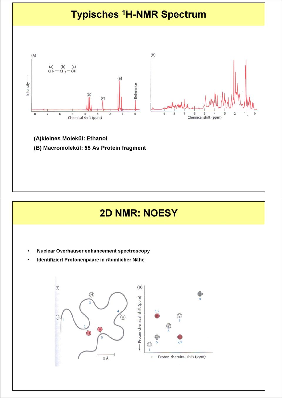D NMR: NOESY Nuclear Overhauser enhancement
