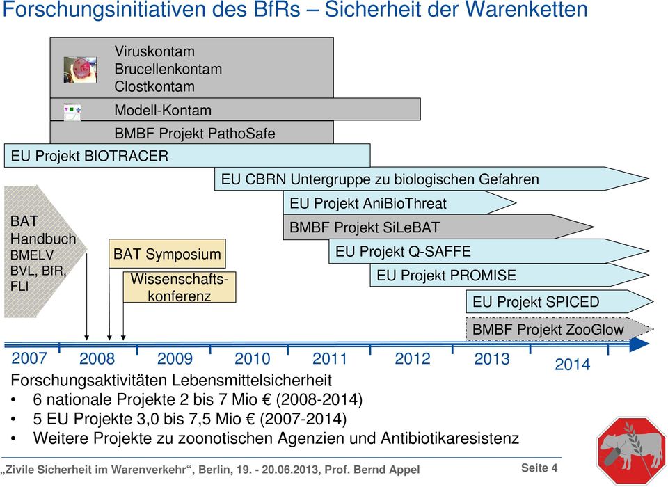 Projekt SPICED BMBF Projekt ZooGlow 2007 2008 2009 2010 2011 2012 2013 Forschungsaktivitäten Lebensmittelsicherheit 6 nationale Projekte 2 bis 7 Mio (2008-2014) 5 EU Projekte 3,0