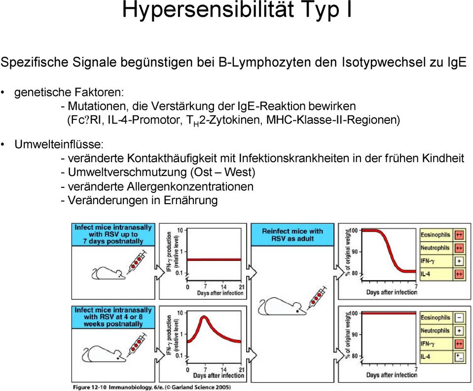 RI, IL-4-Promotor, T H 2-Zytokinen, MHC-Klasse-II-Regionen) Umwelteinflüsse: - veränderte Kontakthäufigkeit